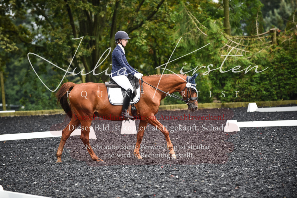 DSC_2909 | Pferde- und Turnierfotografie in Westsachsen. Pferdeportraits, Auftragszeichnungen und intuitive Kunst.