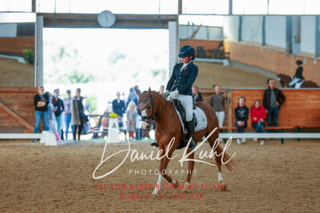 _62_8001 | Turniersportfotografie; Pferdefotografie; Dressurfotografie