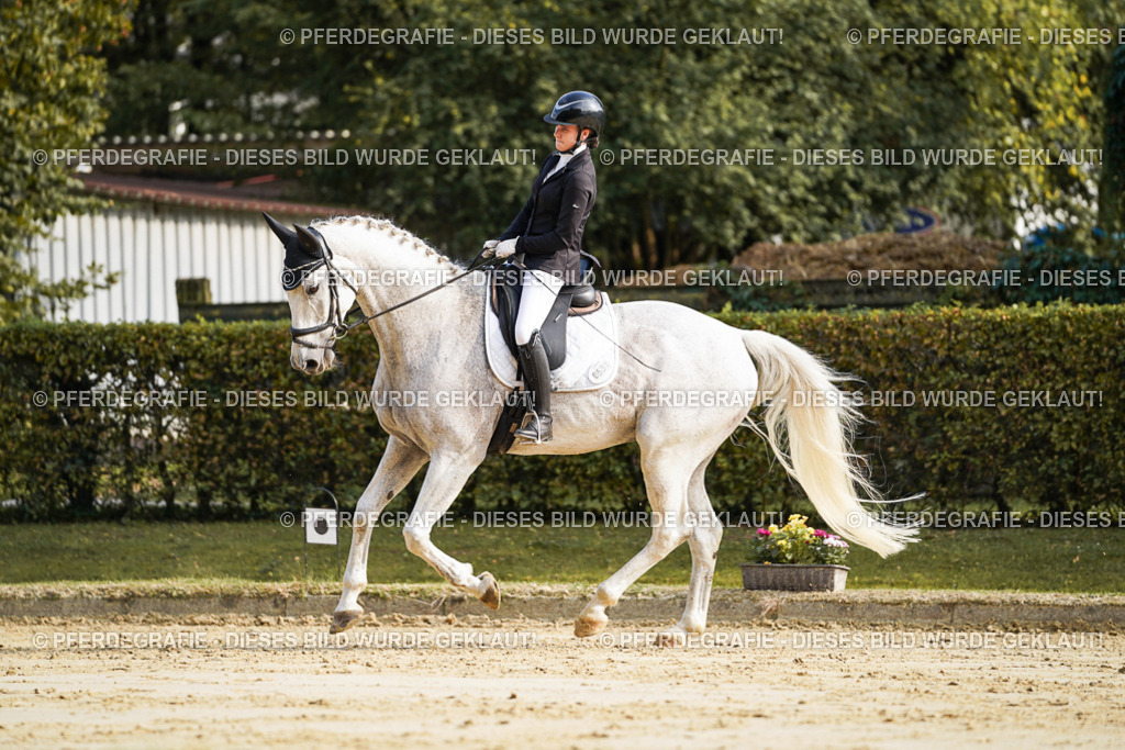 DSC05760 | Pferdegrafie