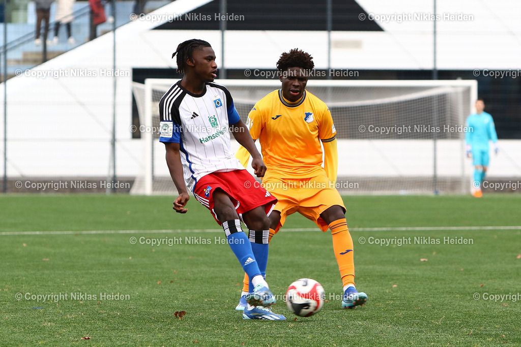 NH_HamburgerSVU19_TSG1899HoffenheimU19_JuniorenDFBPokal_17122023 | #11 Fabio Balde (Hamburger SV U19), #10 Blessing Maleko Makanda (TSG 1899 Hoffenheim U19)

Viertelfinale I Junioren DFB-Pokal I 17.12.2023