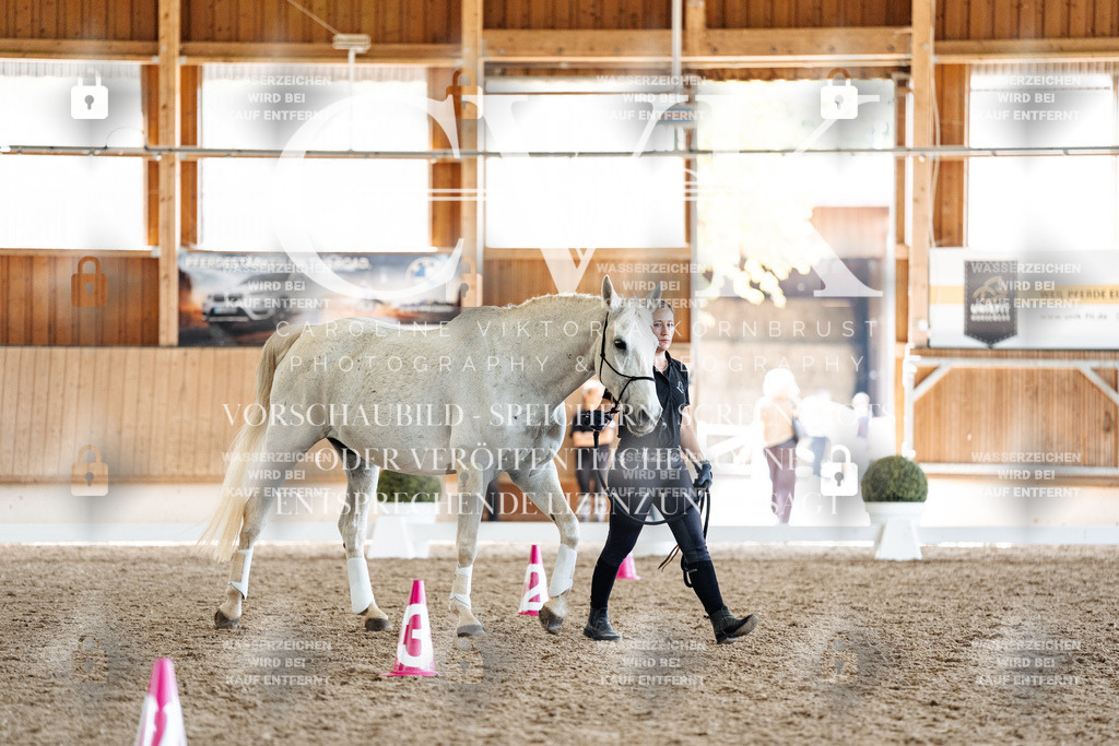 CK907744 | Turnierfotografie Pferdefotografie Trier Rheinland-Pfalz Pferdesport Reitsport Tierfotografie Sportfotografie Pferdevideo Pferdevideografie Equestrianvideography equestrianphotography  - Realisiert mit Pictrs.com