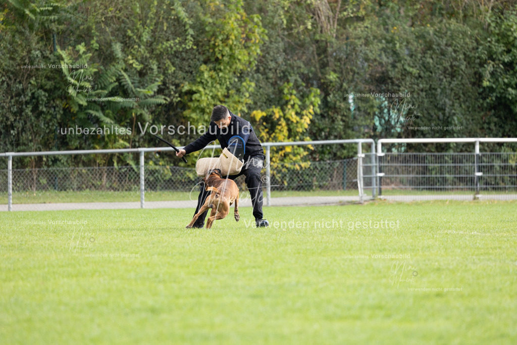 _16A7049 | Einzigartige Fotos von Hunden & Menschen –Actionfotos, Portraits, Vereinsaufnahmen & Paarshootings – authentisch, lebendig & mit Herz.