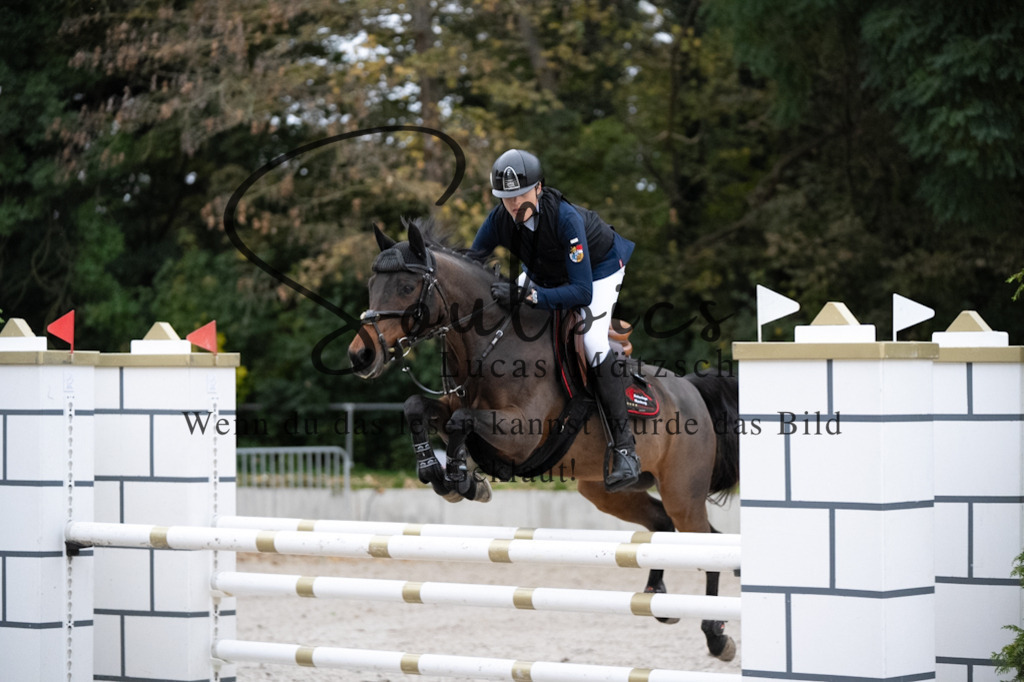 A7V08859 | Pferdefotograf