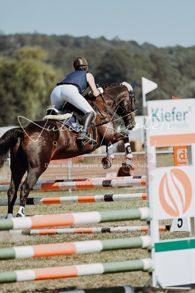 DSC_0009 | Pferde- und Turnierfotografie in Westsachsen. Pferdeportraits, Auftragszeichnungen und intuitive Kunst.