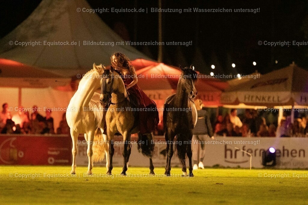 20230526_Pferdenacht_1504 | equistock