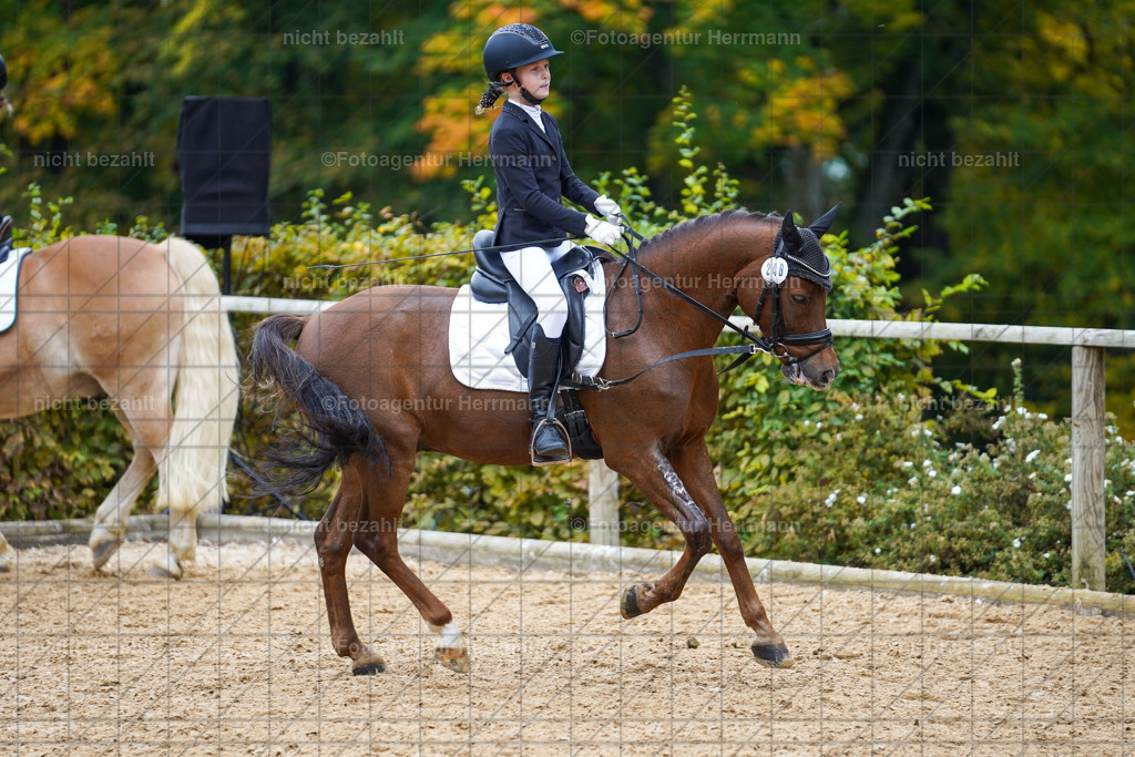 20221008-FAH01459 | Diessen am Ammersee, 2022, Dressur- und Springturnier, Reitsportbilder, Turnierfotografen Bayern, Pferdefotografen, Fotoagentur Herrmann, Turnierbilder
