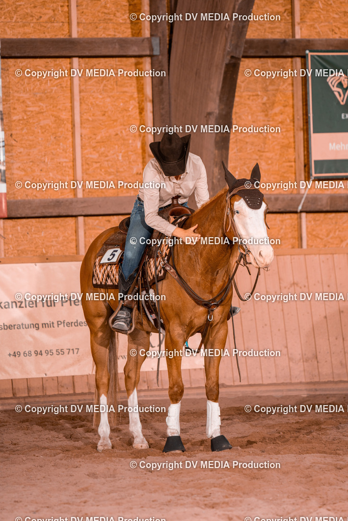 NE300561 | dv-media-shop - Realisiert mit Pictrs.com