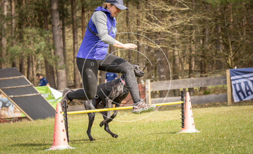 Pfotenfotografie_DV3A6485 | Hundefotografie, Tierfotograf, Pfotenfotografie, Fotoshooting Hund, Hunde Portrait, Hundesport, Hundeportraits, Heideshooting, Hunde, Sportfotograf, Hundefotograf, Turnierhundsport, THS,  - Realisiert mit Pictrs.com