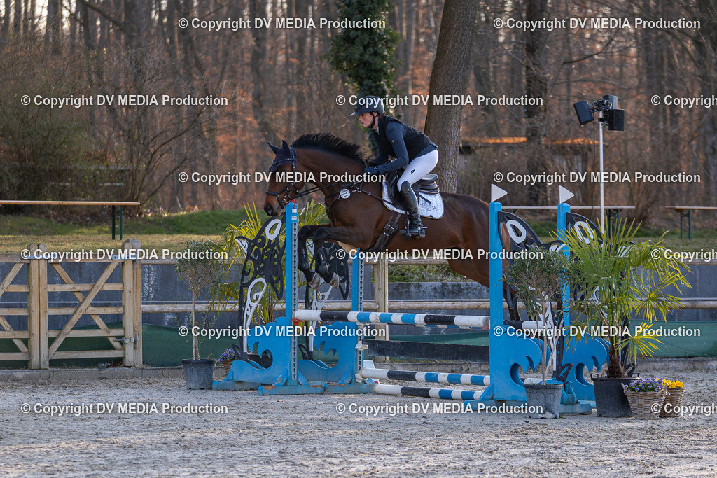 DSC-209 | dv-media-shop - Realisiert mit Pictrs.com