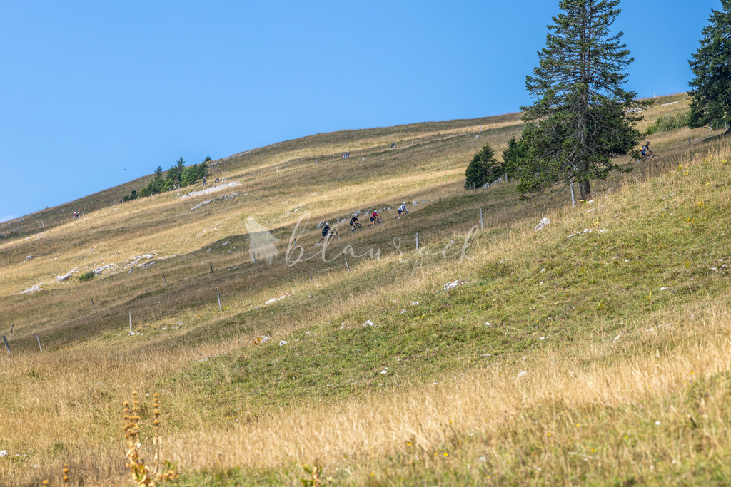 _01A5751 | Sportbilder, Sportfotograf, Hochzeits- und Eventfotografin, Flugshows, Portraits und Tiershooting, Aviation, Downhill, Nationalleague, Swissleague, International