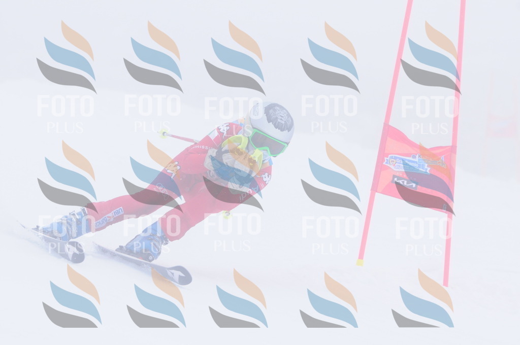 C2486 | holidayphoto