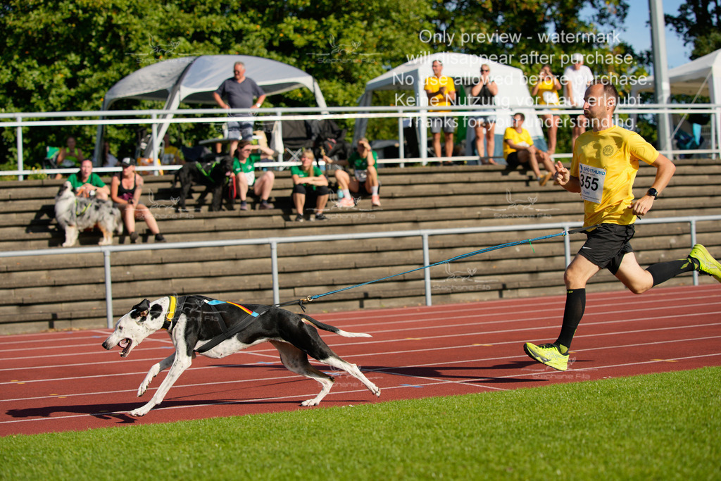 Sonntag_Staffel (319 von 336) | stephaniefillaphotographie - Realisiert mit Pictrs.com