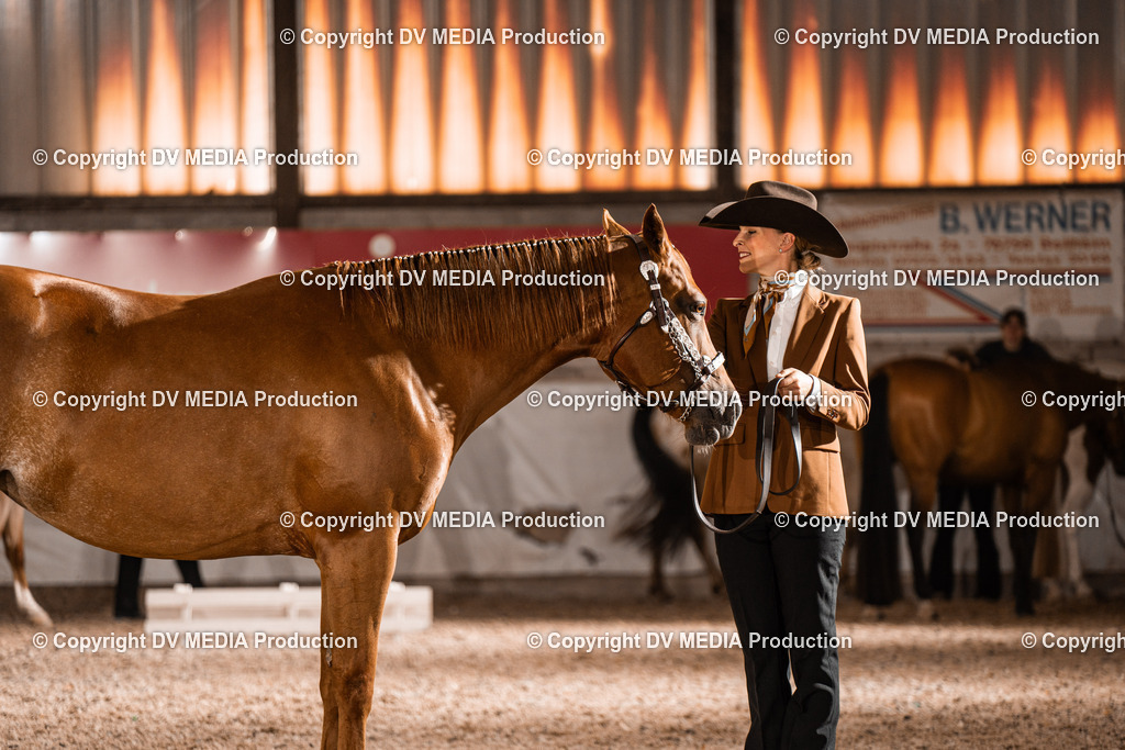 ZH200283 | dv-media-shop - Realisiert mit Pictrs.com