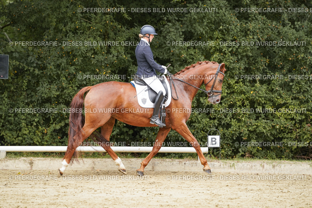 DSC09337 | Pferdegrafie