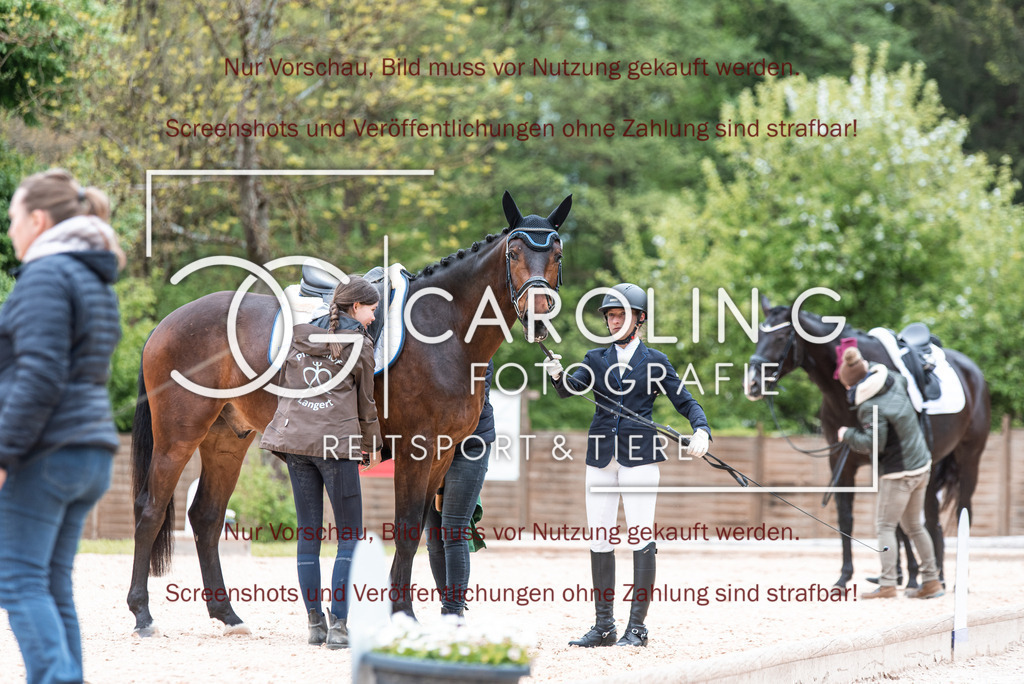 DSC_6914 | Turnierfotografin Carolin Gieschke,Reitsport Turnierfotografie Carolin G Fotografie | Turnierfotos aus Kirchheim/Teck, Esslingen, Stuttgart und dem Bodenseekreis