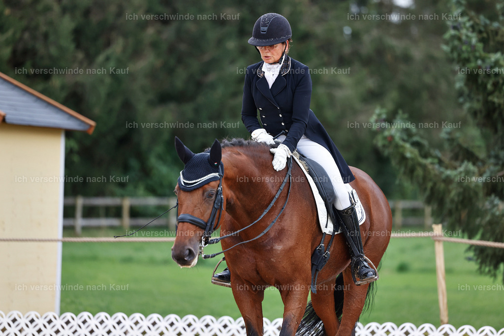 12-072-DRESSUR  S___  -StoibPH-5347 | working equitationturnier fotograf videograf stoibphotography marixx film working equitation deutschland reitsport turnierfotografie eventfotografie equestrian events