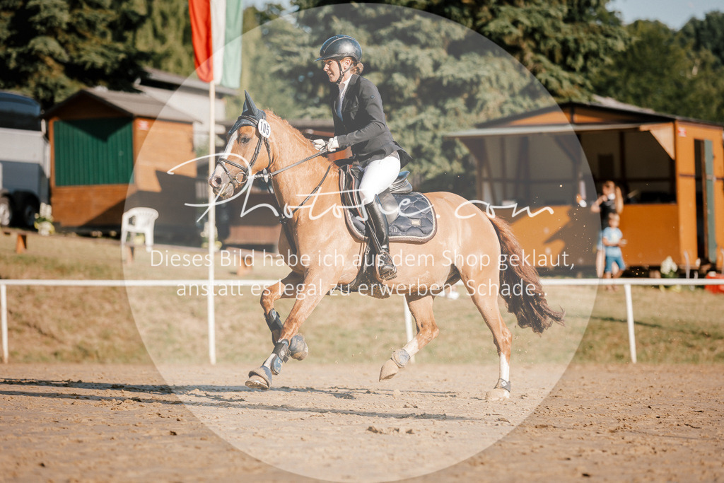 3I6A6213 | Stimmungsvolle Portraits und Reitsportfotografie im Ruhrgebiet und im Münsterland.

Pferdefotografie, Hundefotografie, Tierfotografie, Reportagen, Portraits von Tier und Mensch, Turnierfotografie in Bochum, Recklinghausen, Marl, Haltern am See, Dülmen.. - Realisiert mit Pictrs.com