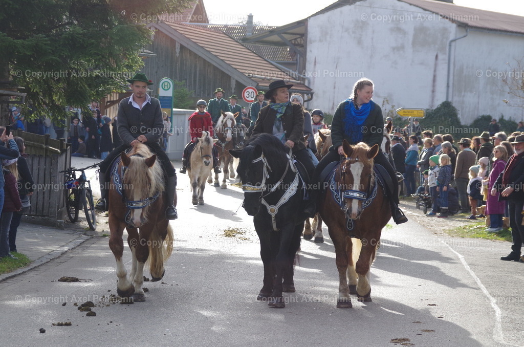 IMGP0989 | fotografiert von Axel PollmannLeonhardi Wallfahrt Benediktbeuern und Murnau, Fronleichnam, Fasching, Landschaft im Loisachtal und Benediktbeuern  - Realisiert mit Pictrs.com
