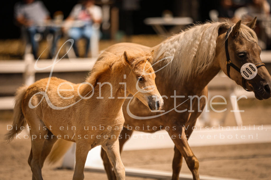 02.DoSR00023 | Leoni Ertmer Photography - Realisiert mit Pictrs.com