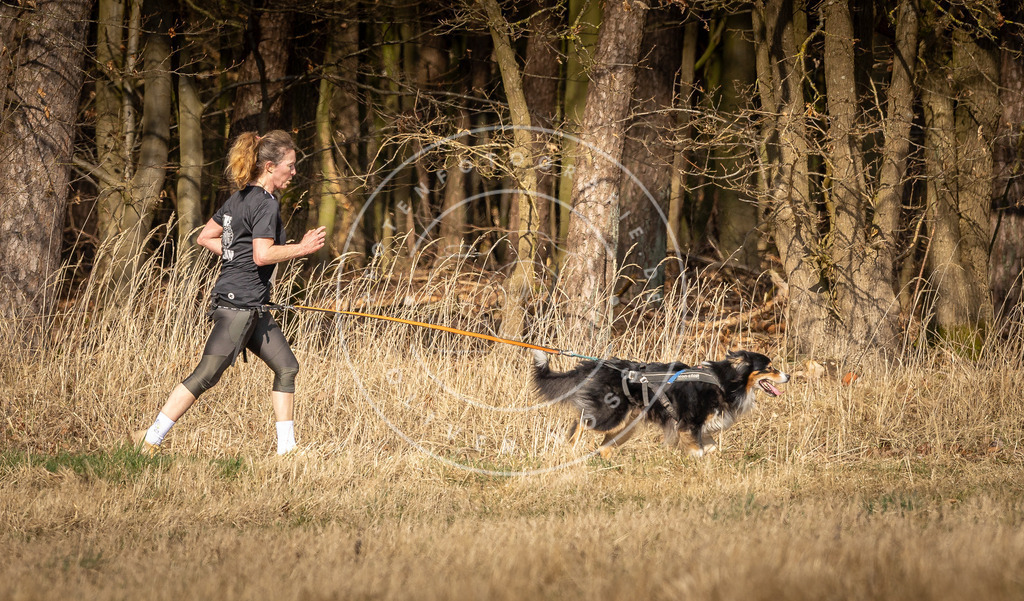 DV3A5587 | Hundefotografie, Tierfotograf, Pfotenfotografie, Fotoshooting Hund, Hunde Portrait, Hundesport, Hundeportraits, Heideshooting, Hunde, Sportfotograf, Hundefotograf, Turnierhundsport, THS,  - Realisiert mit Pictrs.com