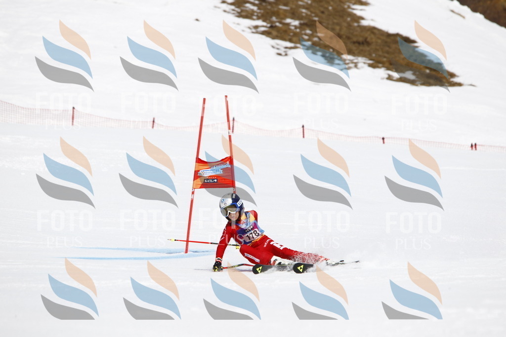 _U3G4678 | holidayphoto