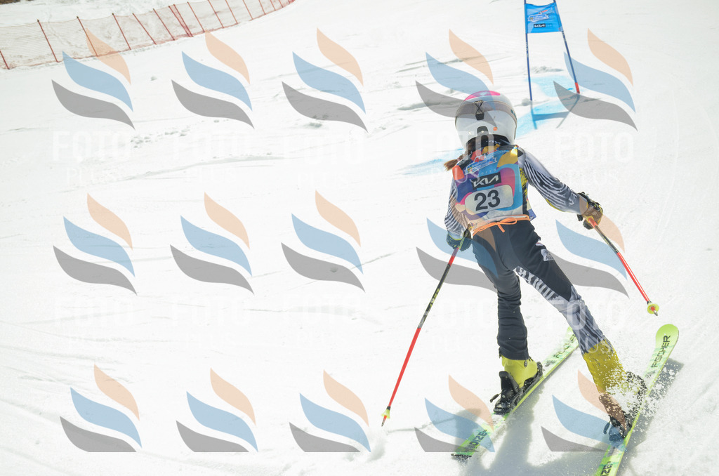 _ELE4773 | holidayphoto