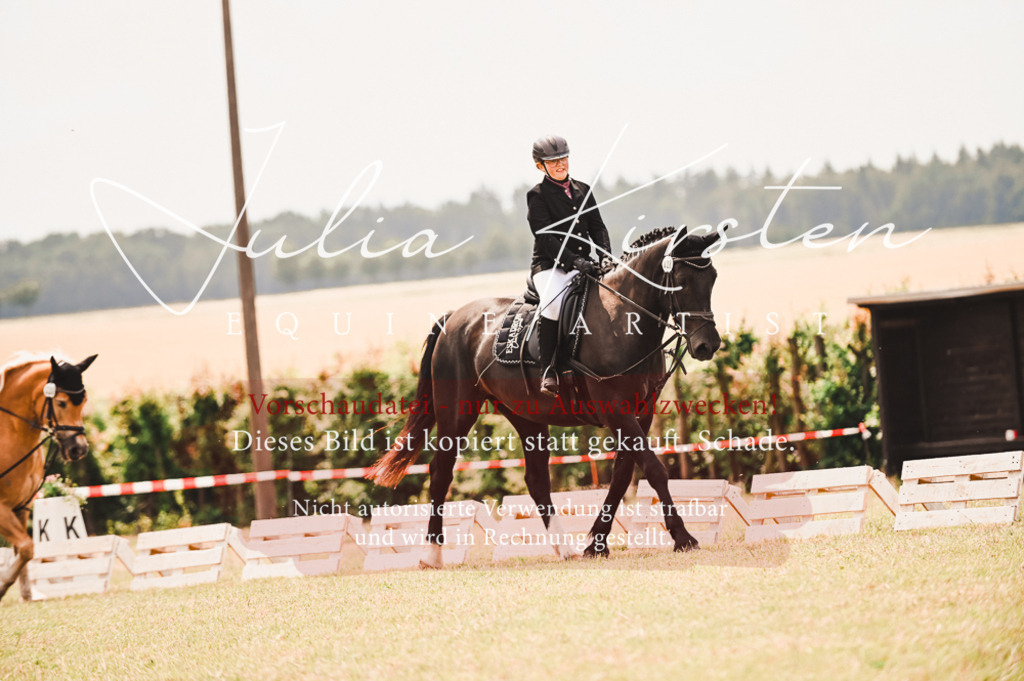 DSC_6198 | Pferde- und Turnierfotografie in Westsachsen. Pferdeportraits, Auftragszeichnungen und intuitive Kunst.