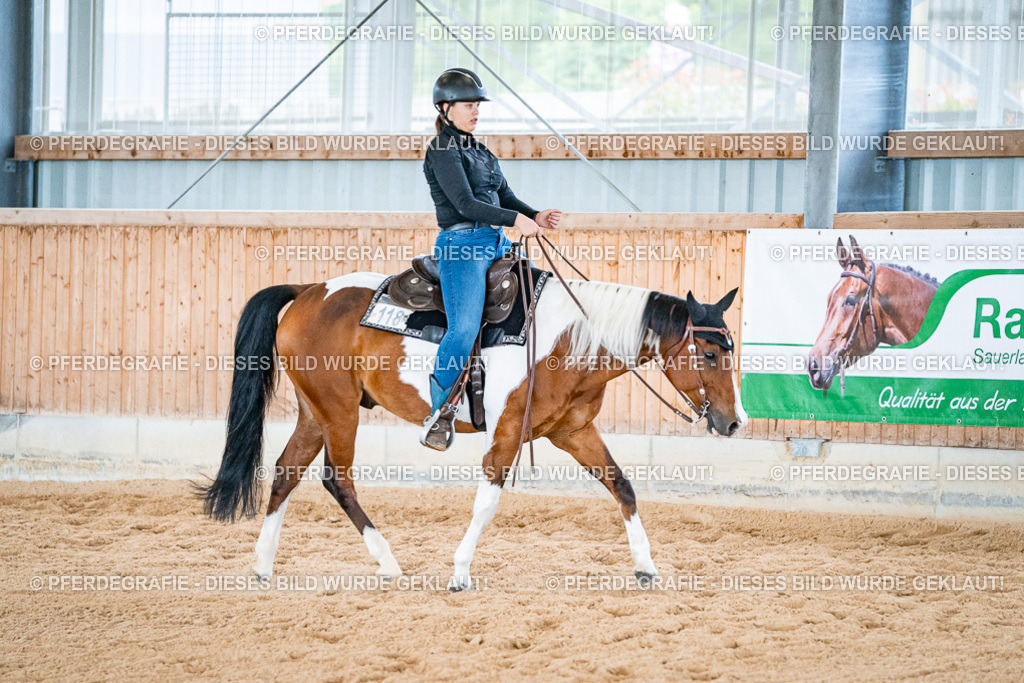 DSC09788 | Pferdegrafie