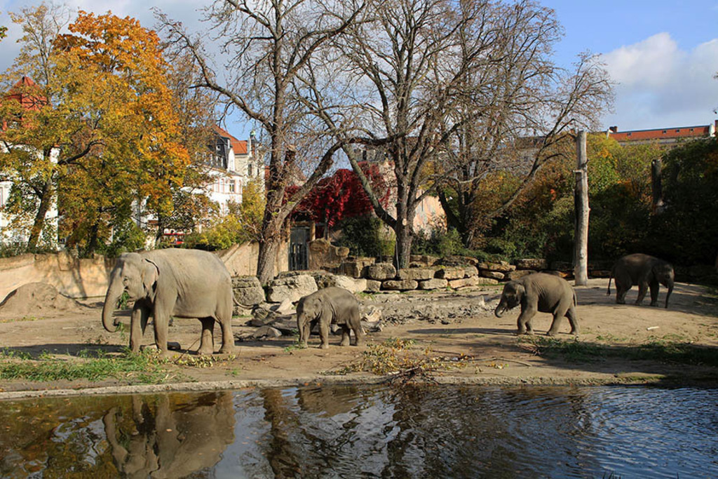Elefantentempel Ganesha Mandir im Zoo | Entdecke über 20 Kategorien Leipzig-Motive: Foto-Downloads, hochwertige Poster, Leinwand- & Fine-Art-Prints. Jetzt Lieblingsfoto im Bildlexikon Leipzig Shop bestellen!