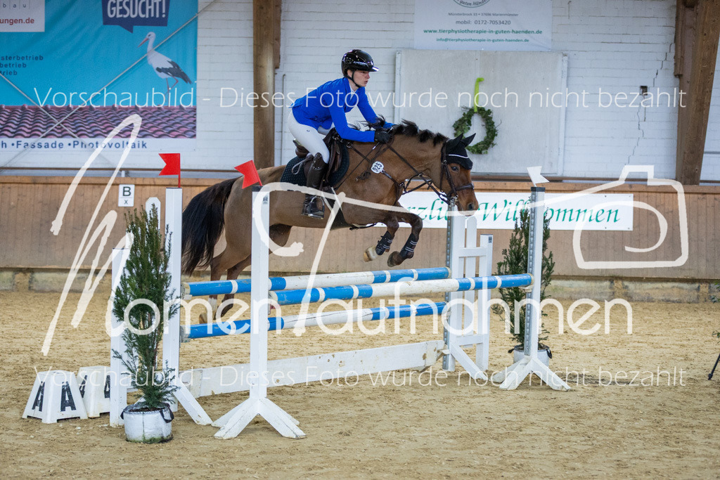 Sth-LPO25-A2St-003 | MomenTaufnahmen Pferdesportfotos