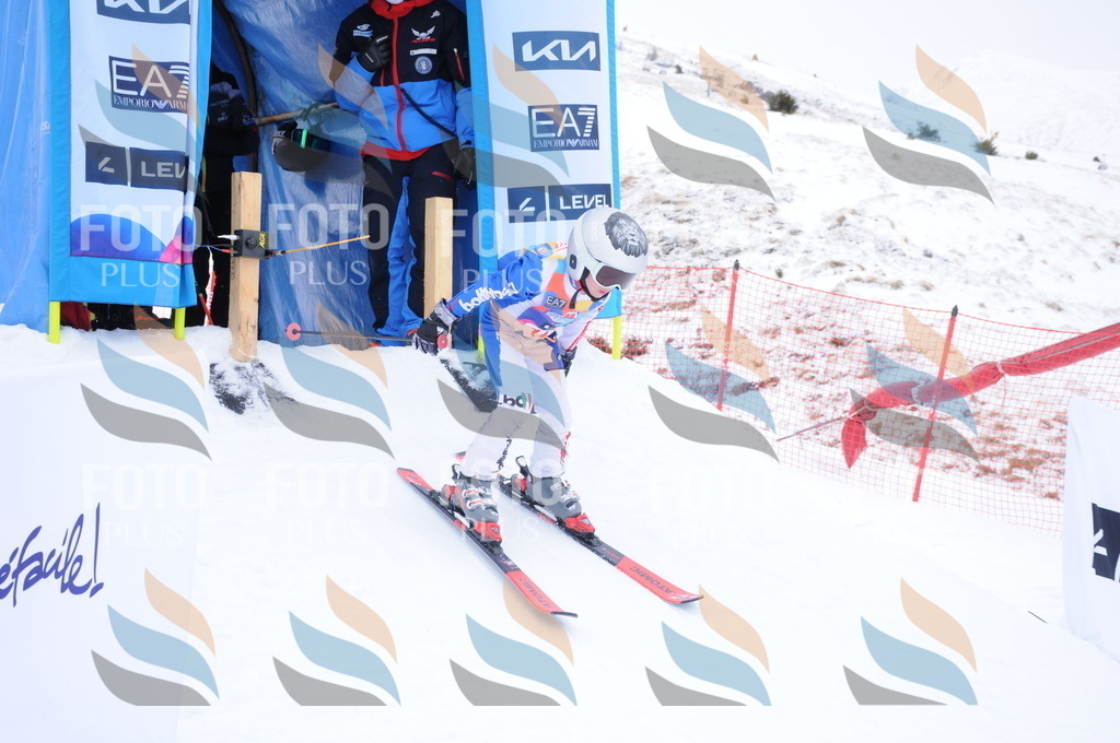 DSC_8780 | holidayphoto