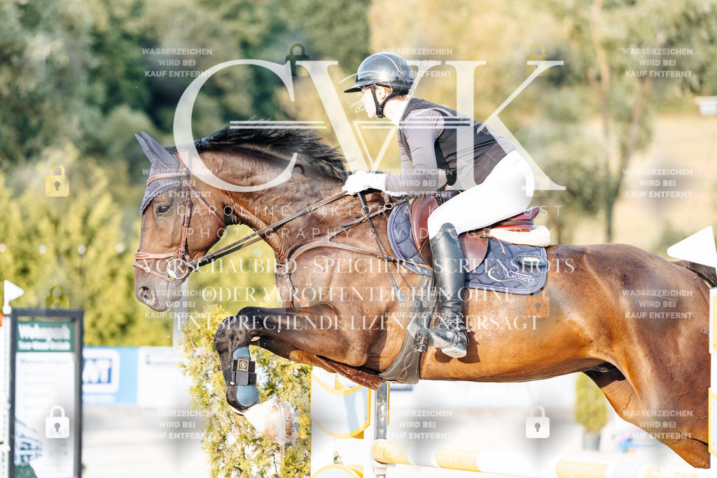 CK900950 | Turnierfotografie Pferdefotografie Trier Rheinland-Pfalz Pferdesport Reitsport Tierfotografie Sportfotografie Pferdevideo Pferdevideografie Equestrianvideography equestrianphotography  - Realisiert mit Pictrs.com