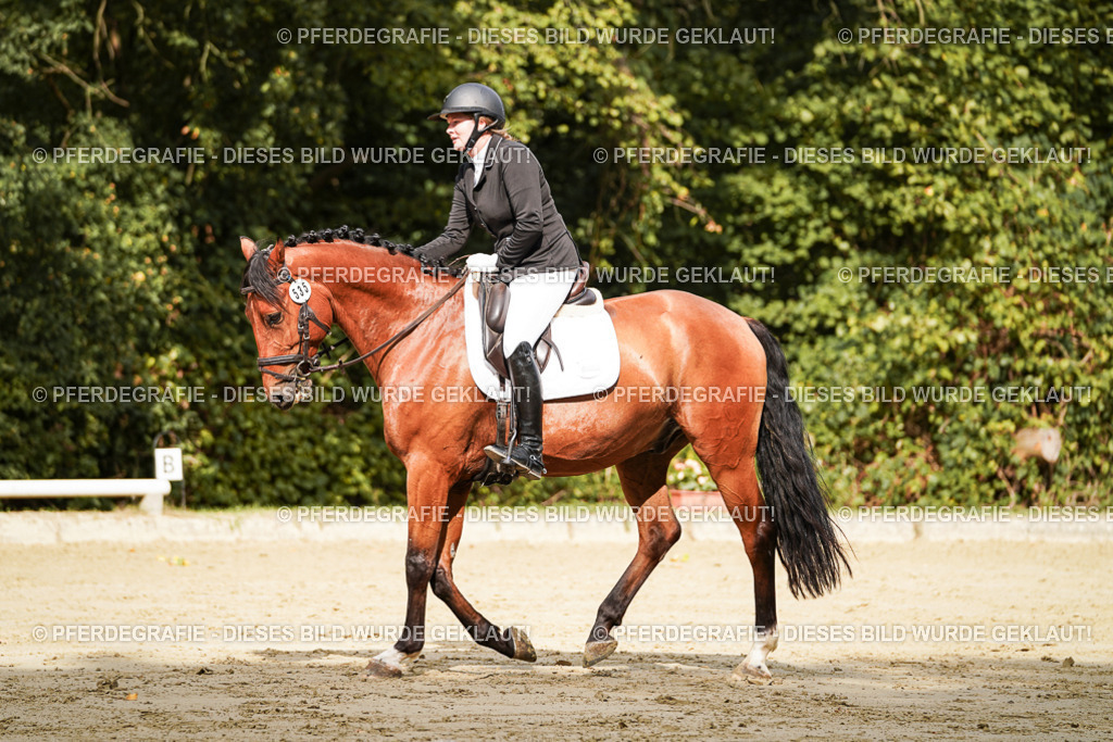 DSC02101 | Pferdegrafie