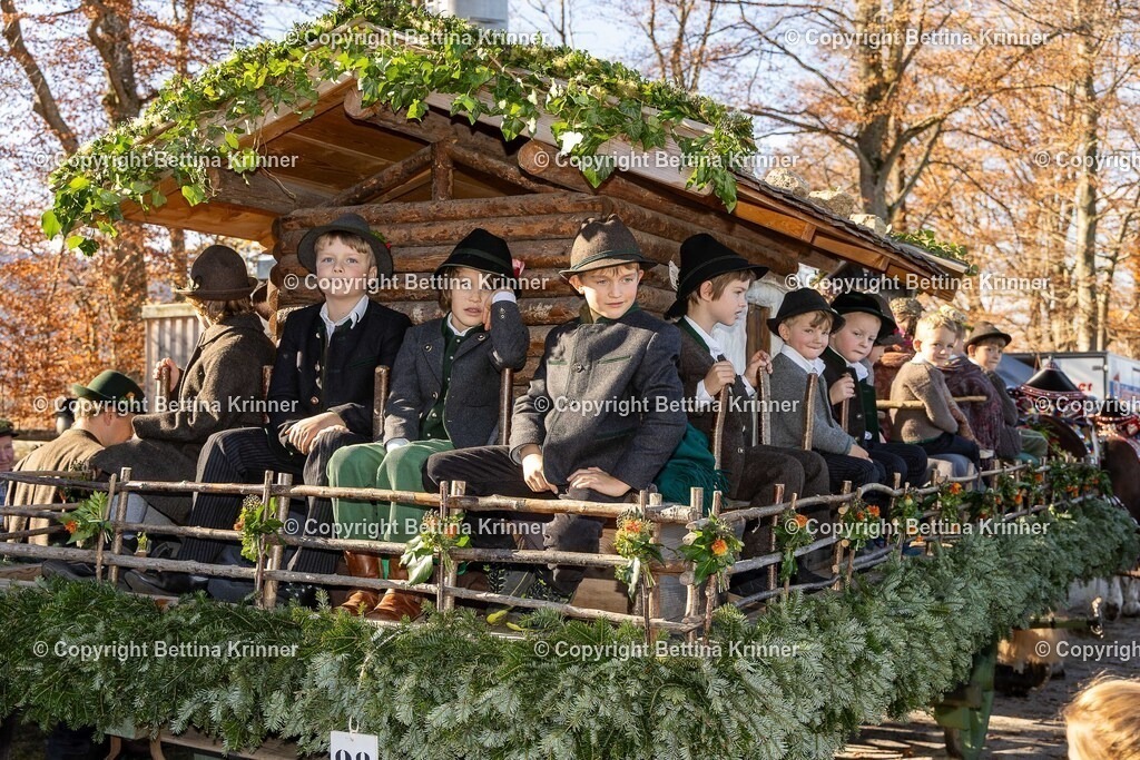 LBT25-1095 | foto-bettina-krinner - Realisiert mit Pictrs.com