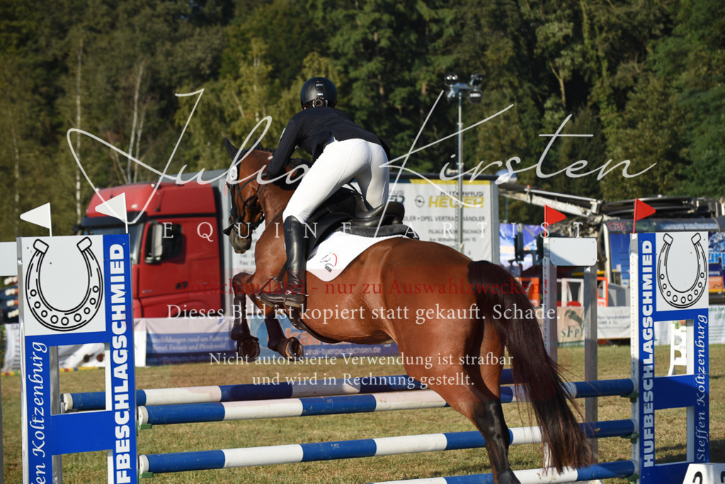 DSC_4867 | Pferde- und Turnierfotografie in Westsachsen. Pferdeportraits, Auftragszeichnungen und intuitive Kunst.