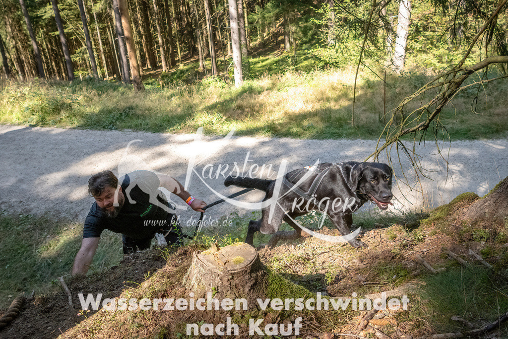1240_ZZ94795 | kk-dogfotos