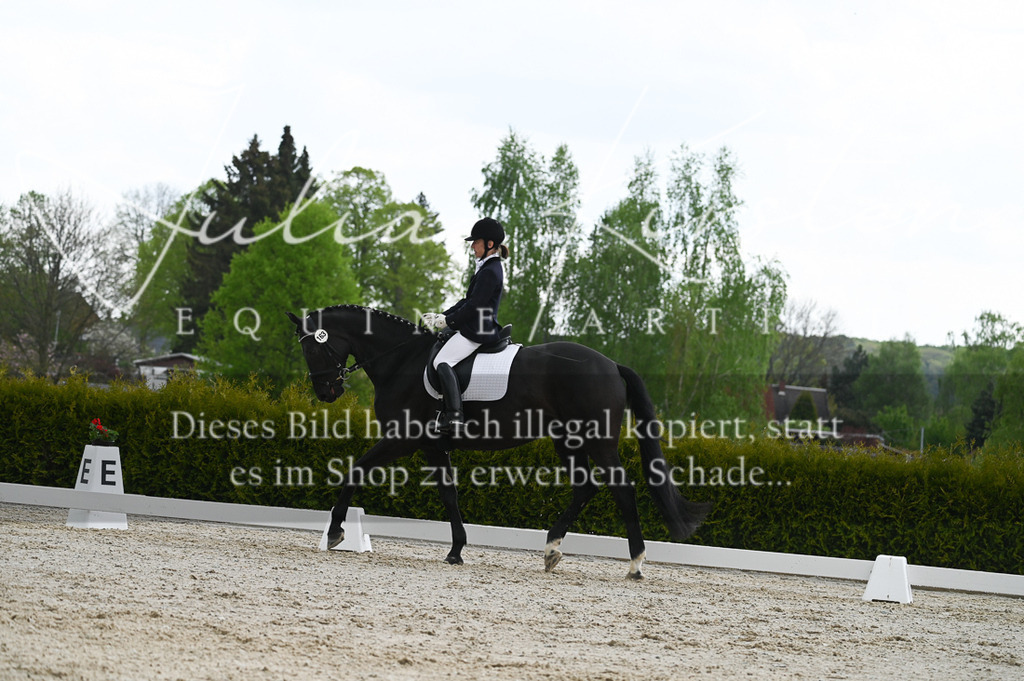 20230512_JK-Röhrsdorf-03-057 | Pferde- und Turnierfotografie in Westsachsen. Pferdeportraits, Auftragszeichnungen und intuitive Kunst.