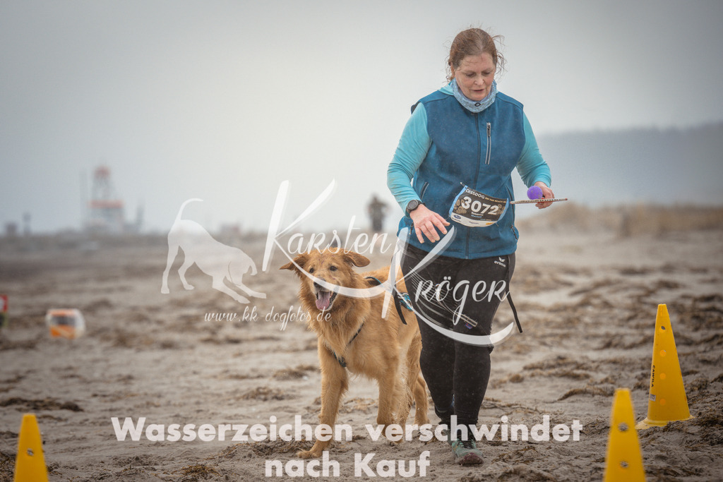 1113_ZZ97265 | kk-dogfotos