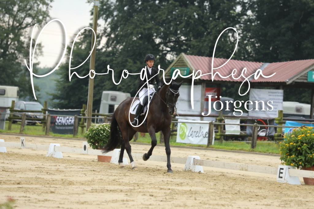 IMG_5277 | photographesa-joergens - Realisiert mit Pictrs.com