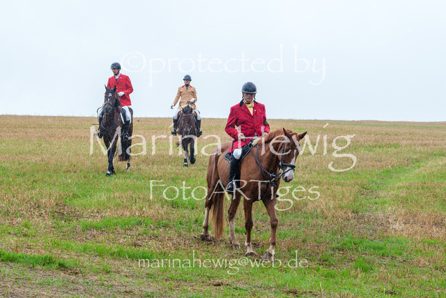 Jagd Kletkamp 26-02947_MarinaHewig | Fotografie, FotoArt, PferdesportArt, Pferdesportfotografie, Landschaftsfotografie, Reisefotografie, Reise, Pferde - Realisiert mit Pictrs.com