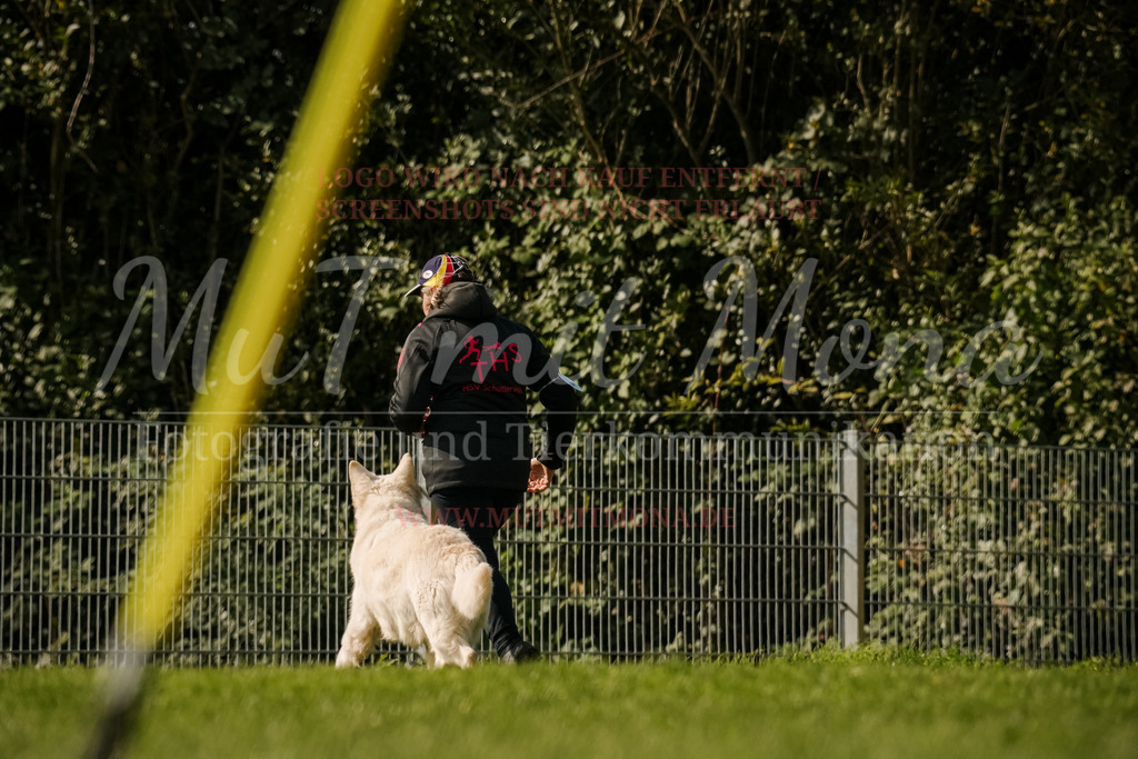20251005_THS_Turnier-760 | MuT (Mensch und Tier) mit Mona - Fotografie und Tierkommunikation - Realisiert mit Pictrs.com