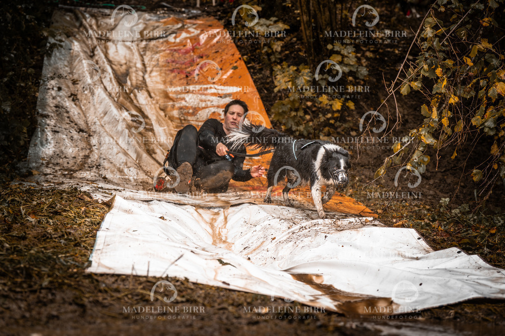 madeleinebirr-fotografie2025.campcanis.sa.15-16Uhr-67 | hundefotografie-birr