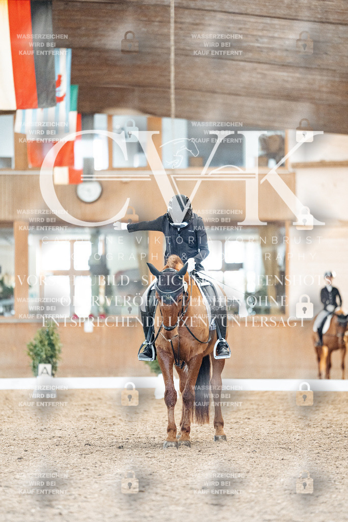 CK907717 | Turnierfotografie Pferdefotografie Trier Rheinland-Pfalz Pferdesport Reitsport Tierfotografie Sportfotografie Pferdevideo Pferdevideografie Equestrianvideography equestrianphotography  - Realisiert mit Pictrs.com