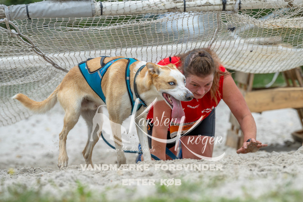 1032_ZZ94202 | kk-dogfotos