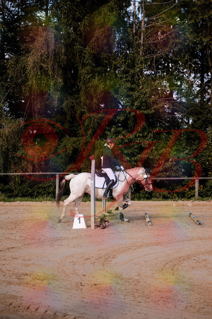 2026_10_03_Siefer-Hof_144155_Z81_14243501 | Professionelle Reitsport-, Turnier- und Eventfotografie von Robert Broda. Galerien mit ausgewählten und bearbeiteten Bildern direkt online ansehen und bestellen.