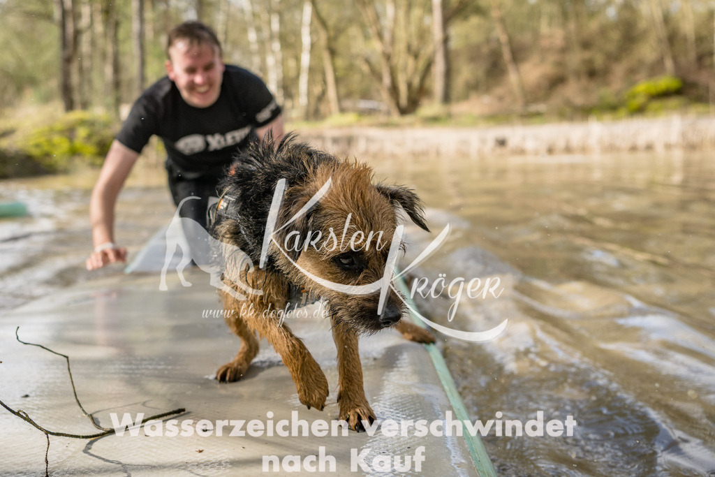 1003_ZZ92374 | kk-dogfotos