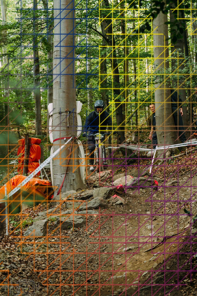 PAE-2333 | Einzigartige Fotokunst für dein Zuhause: Entdecke hochwertige Wandbilder, edle Prints und emotionale Motive von Wildlife, Natur und Landschaften - Realisiert mit Pictrs.com