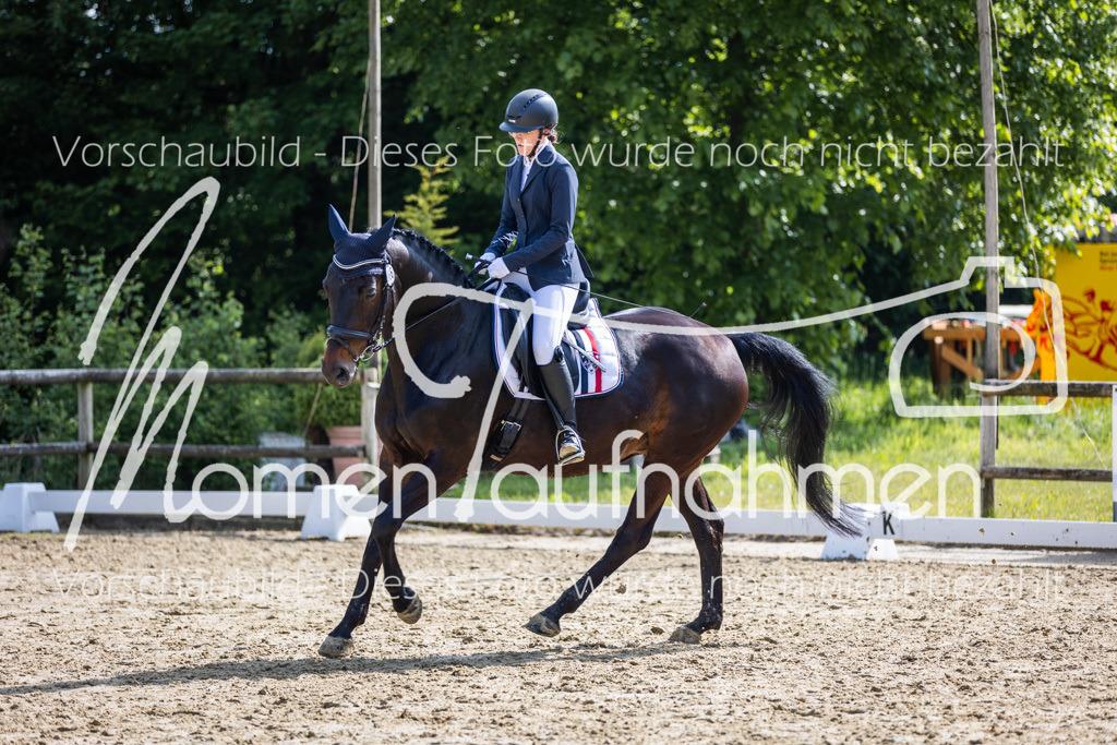 Donop24-A2-Dre-056 | MomenTaufnahmen Pferdesportfotos