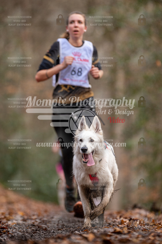 SPA_2023_DIM_CCL-144 | PayLife