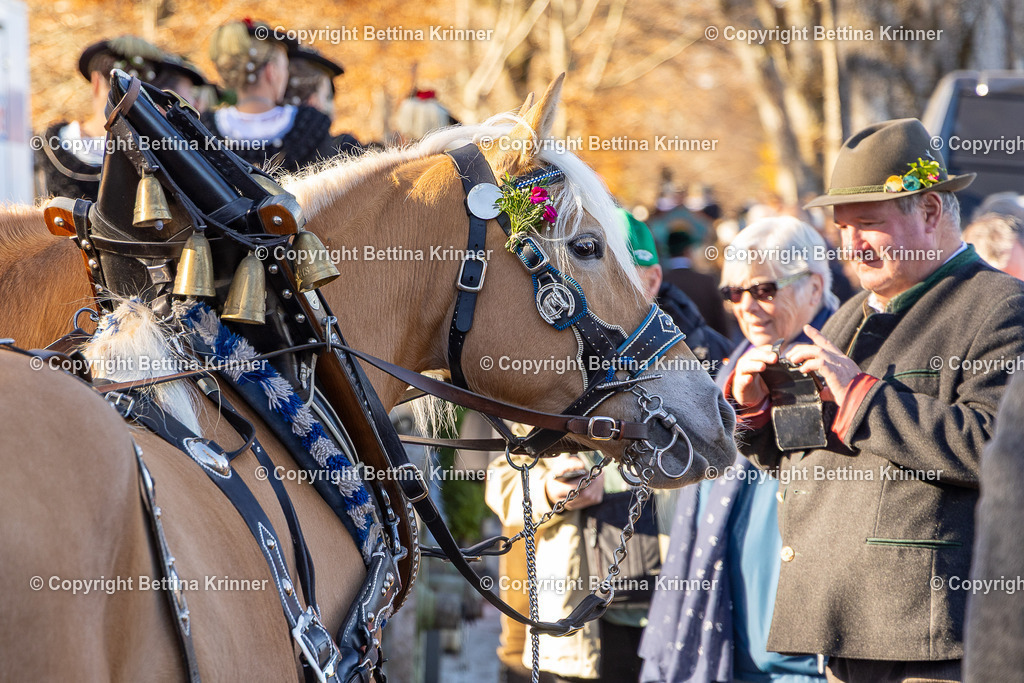 LBT25-1262 | foto-bettina-krinner - Realisiert mit Pictrs.com